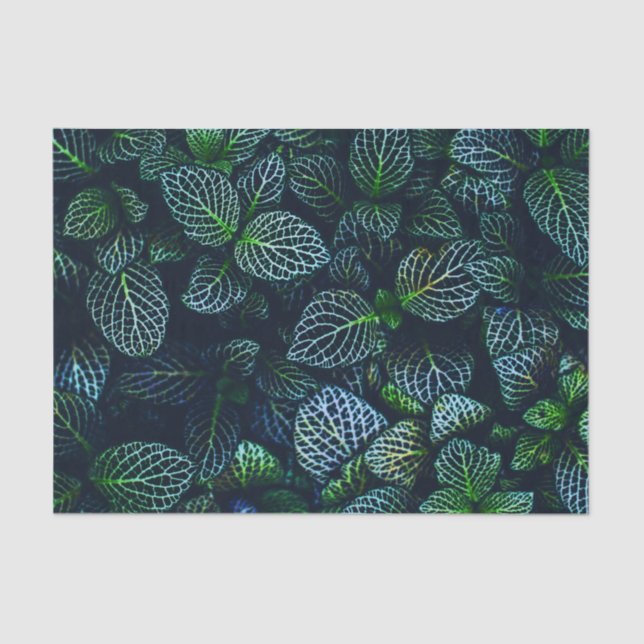 Tropical Leaf Plant Pattern Tissue Paper (Front)