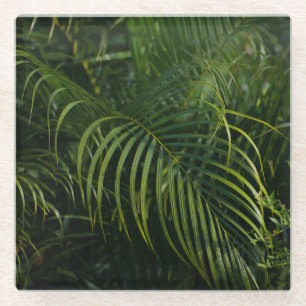 Tropical Leaves, Dark green botanical Glass Coaster