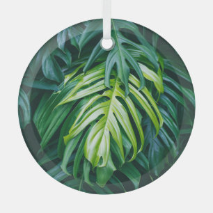Tropical leaves: dark nature background. glass tree decoration