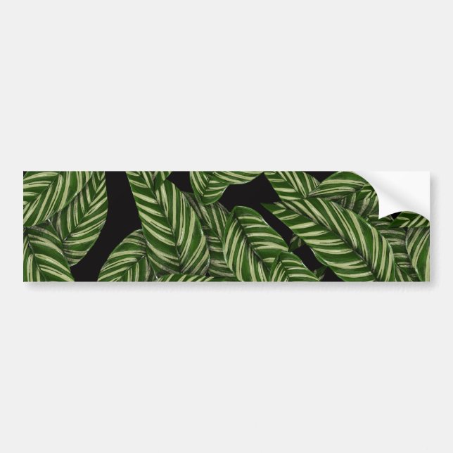 Tropical Leaves Pattern Bumper Sticker (Front)