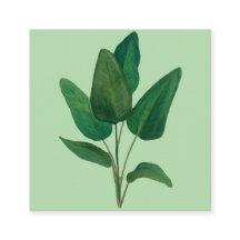 Tropical Leaves