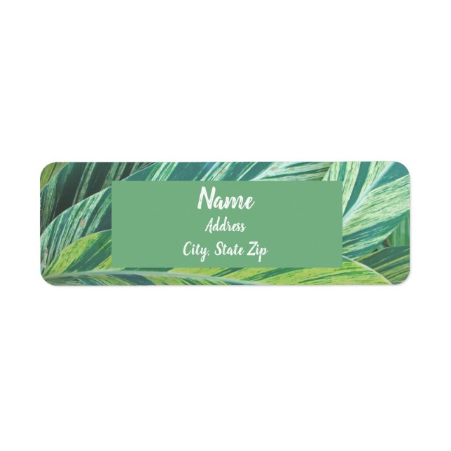 Tropical Leaves Striped Green Foliage Tropics Return Address Label (Front)