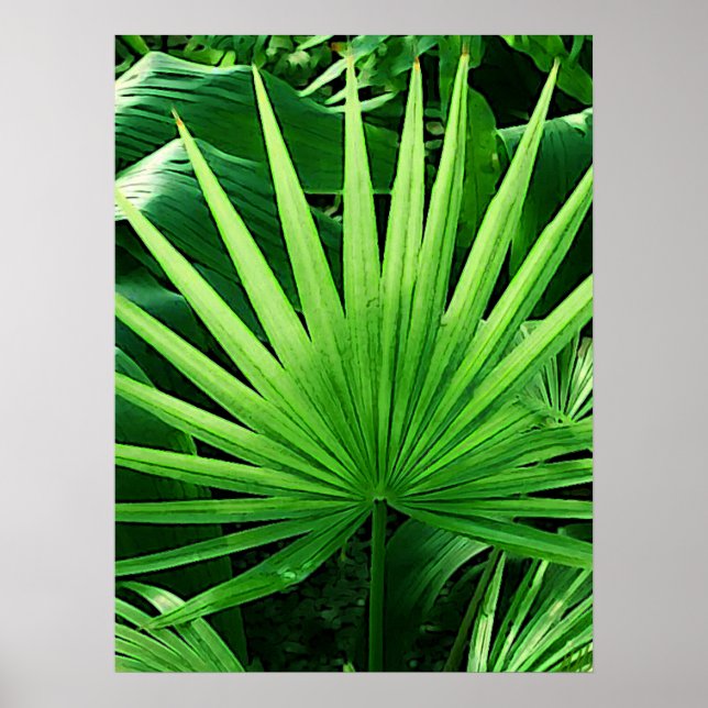 Tropical Leaves, Windmill Palm, Dark Green Poster (Front)