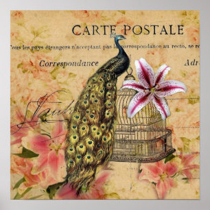 tropical lily flower birdcage vintage peacock poster