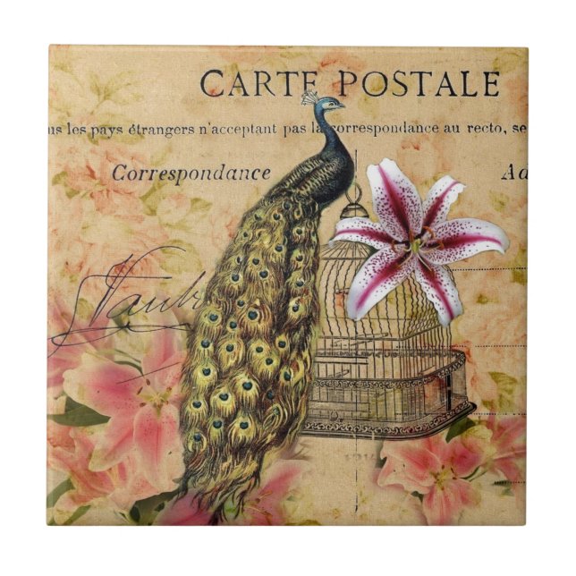 tropical lily flower birdcage vintage peacock tile (Front)