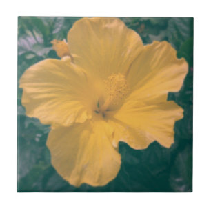 Tropical Looking Flower Ceramic Tile