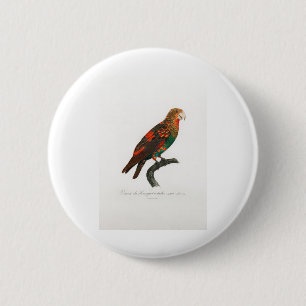 tropical macaw parrot 6 cm round badge