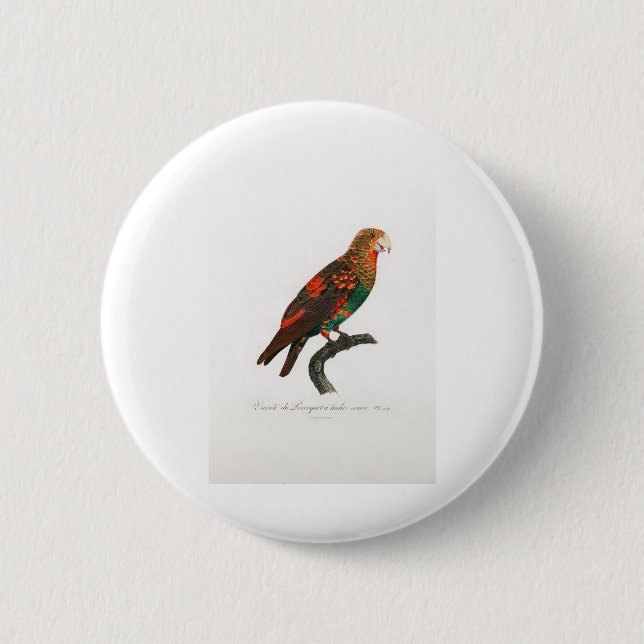 tropical macaw parrot 6 cm round badge (Front)