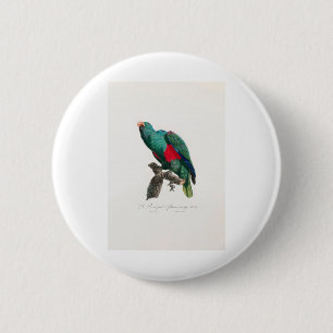 tropical macaw parrot 6 cm round badge