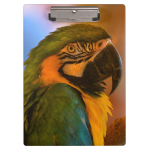 Tropical Macaw Parrot Clipboard