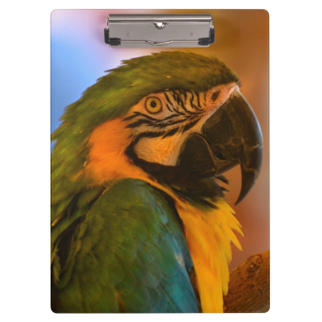 Tropical Macaw Parrot Clipboard (Front)