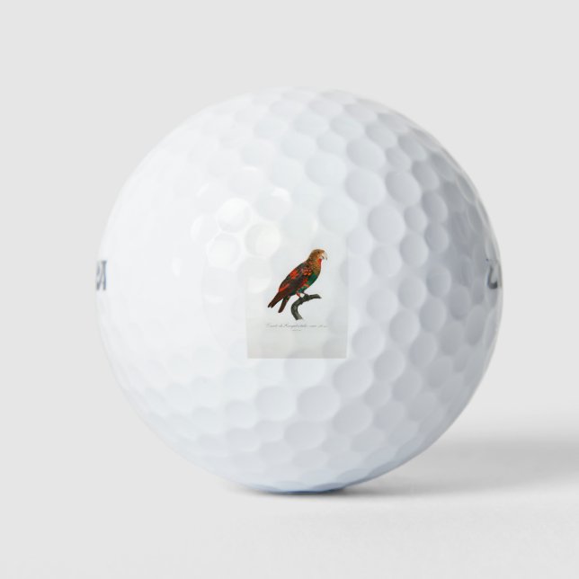 tropical macaw parrot golf balls (Front)