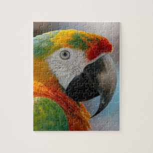 Tropical Macaw Parrot Jigsaw Puzzle