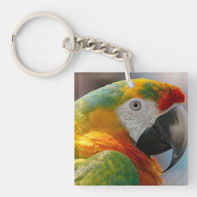 Tropical Macaw Parrot Key Ring (Front)
