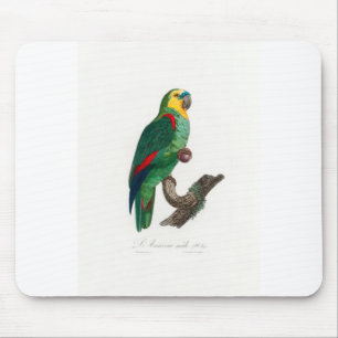 tropical macaw parrot mouse pad