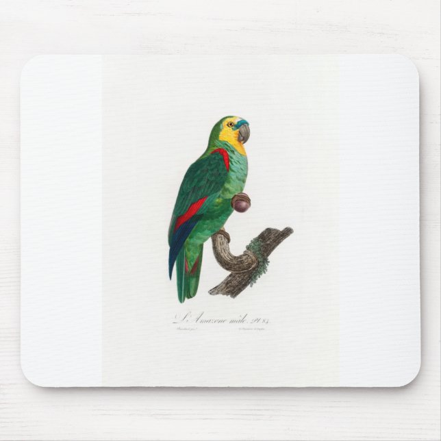 tropical macaw parrot mouse pad (Front)