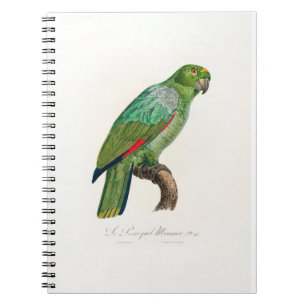 tropical macaw parrot notebook