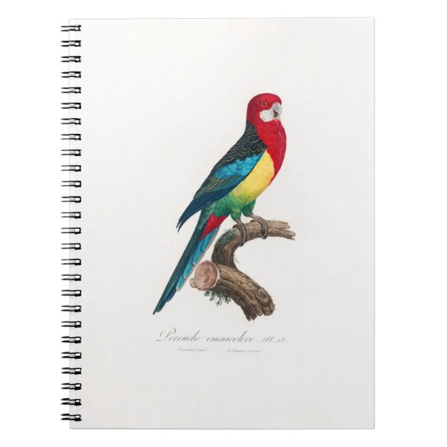 tropical macaw parrot notebook (Front)