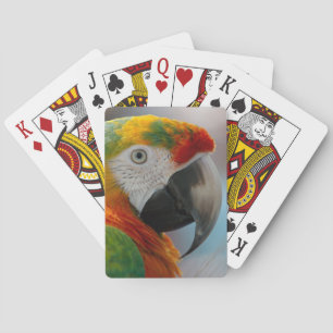 Tropical Macaw Parrot Playing Cards