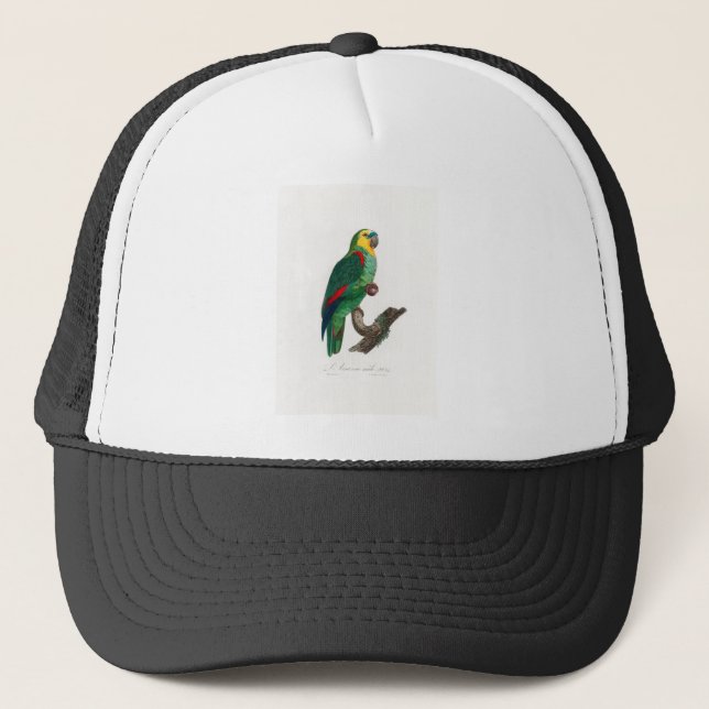 tropical macaw parrot trucker hat (Front)