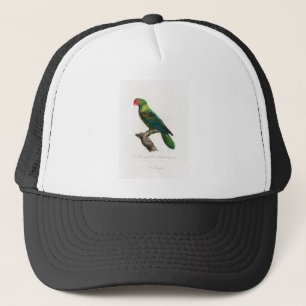 tropical macaw parrot trucker hat