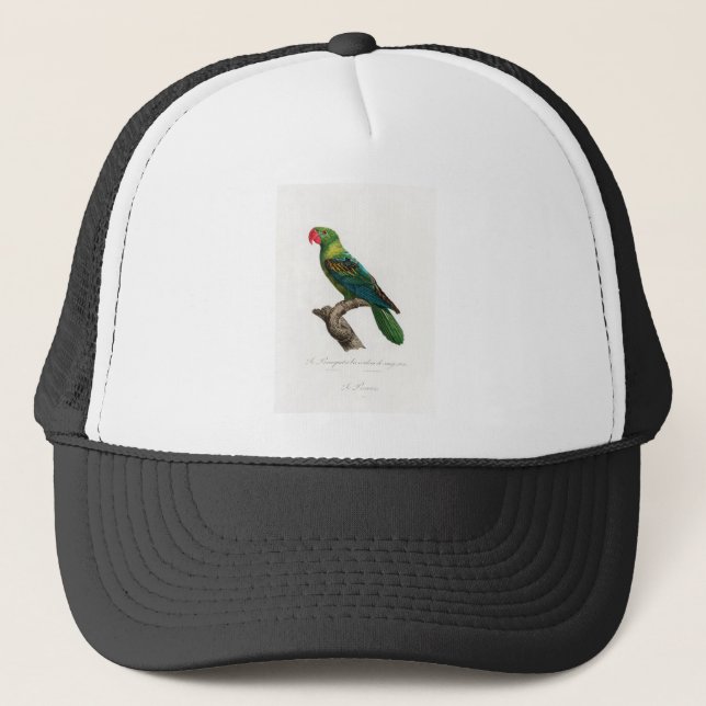 tropical macaw parrot trucker hat (Front)