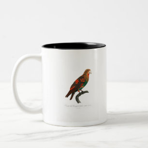 tropical macaw parrot Two-Tone coffee mug