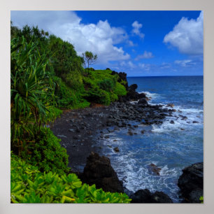 Tropical Maui Hawaiian Island Beach Poster