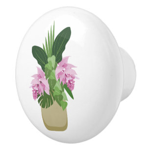 Tropical Medinilla Pink Flower in Vase on White Ceramic Knob