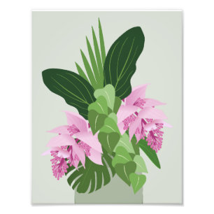 Tropical Medinilla Pink Flower on Green Photo Print