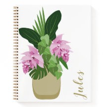 Tropical Medinilla Pink Flower Yellow Vase White