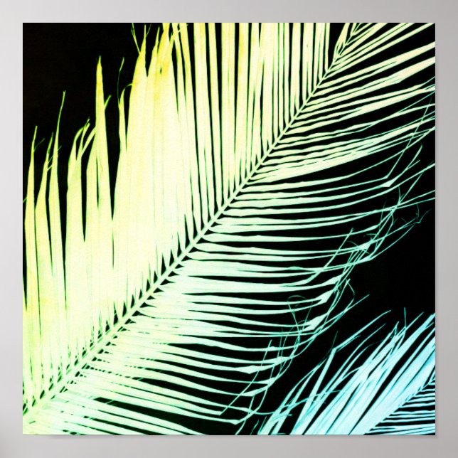 tropical modern bold palm leaf art poster (Front)