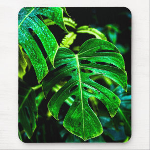 Tropical Monstera Glow – Jungle Leaf Photography Mouse Pad