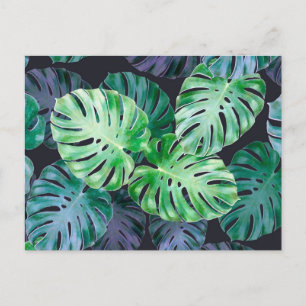 Tropical Monstera Leaves Postcard