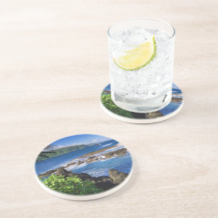 Tropical Ocean Stone Coaster
