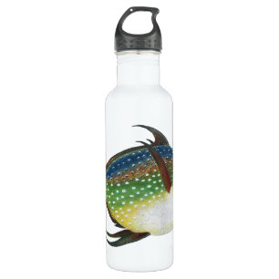 Tropical Opah Fish, Vintage Marine Aquatic Animal 710 Ml Water Bottle