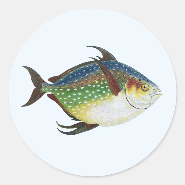 Tropical Opah Fish, Vintage Marine Aquatic Animal Classic Round Sticker (Front)