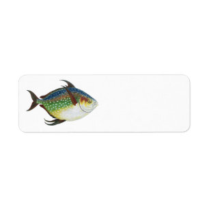 Tropical Opah Fish, Vintage Marine Aquatic Animal Return Address Label