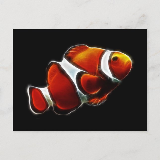 Tropical Orange Clownfish Clown Fish Postcard (Front)