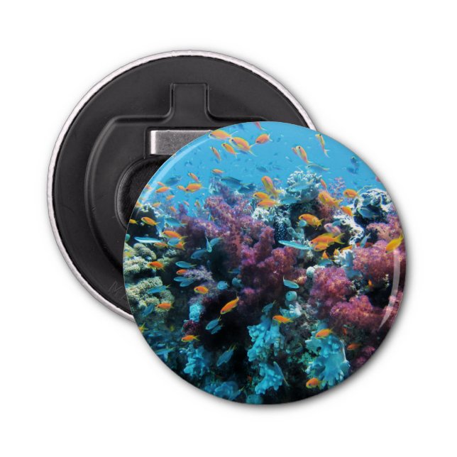 Tropical Orange Fish and Pink Coral Bottle Opener (Front)