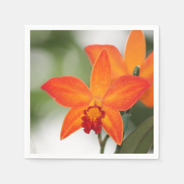 Tropical Orange Orchid Paper Napkin (Front)