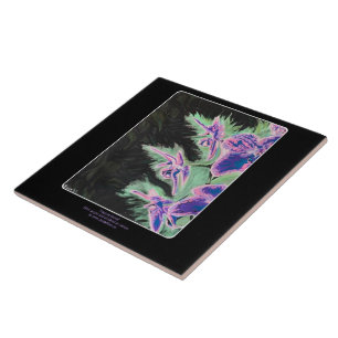 'Tropical Orchid' Painting on a Ceramic Tile