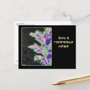 'Tropical Orchid' Painting on a  Postcard