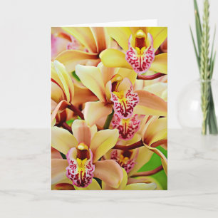 Tropical Orchids Scripture Card Psalm 34:15