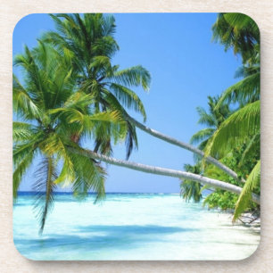Tropical Palm Beach! Coaster