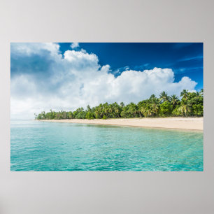 Tropical Palm Fringed Beach Poster