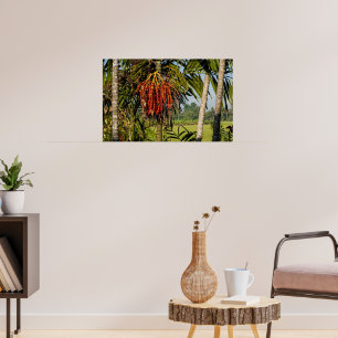 Tropical palm fruit - POSTER Wall ART