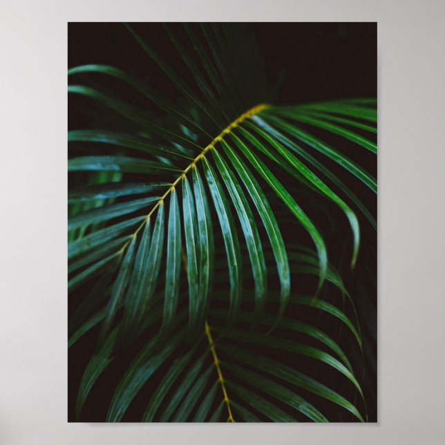 Tropical Palm Leaf Green Relaxing Meditative Poster (Front)