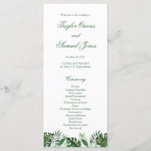 Tropical Palm Leaf Programs