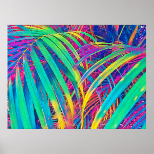 Tropical palm leaf texture background. Palm leaf i Poster
